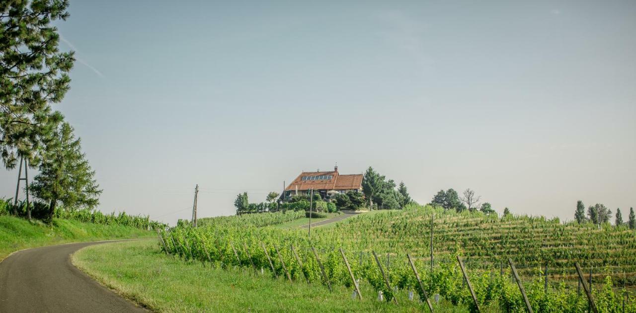 Taverna & Wine Jeruzalem Penzion *